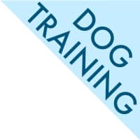 Bright Eyes Dog Care - Dog Training Corner